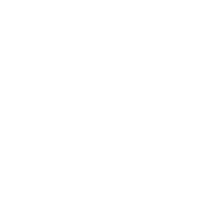festival_white